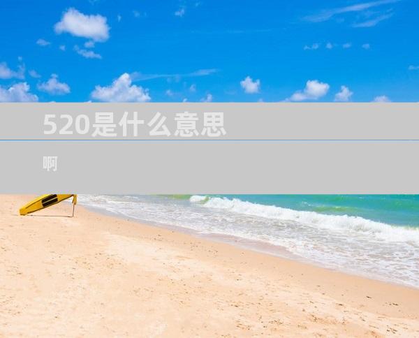 520是什么意思啊