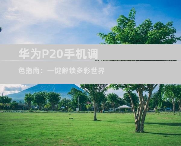 华为P20手机调色指南：一键解锁多彩世界