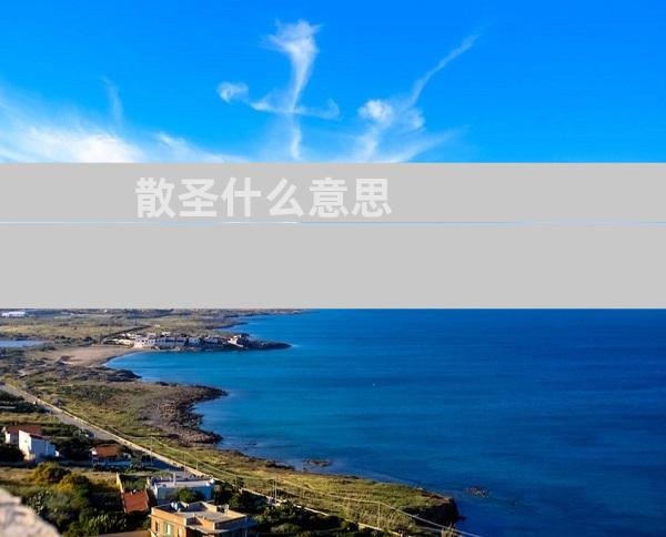 散圣什么意思