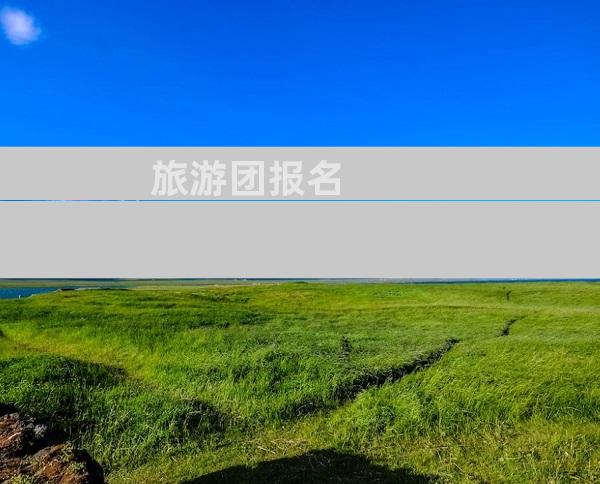 旅游团报名
