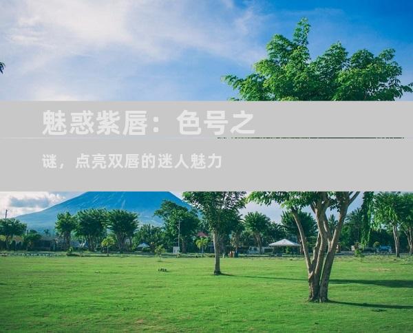 魅惑紫唇：色号之谜，点亮双唇的迷人魅力