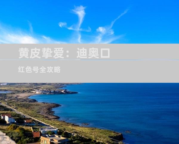 黄皮挚爱：迪奥口红色号全攻略