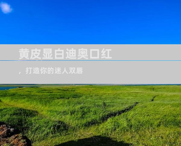 黄皮显白迪奥口红，打造你的迷人双唇