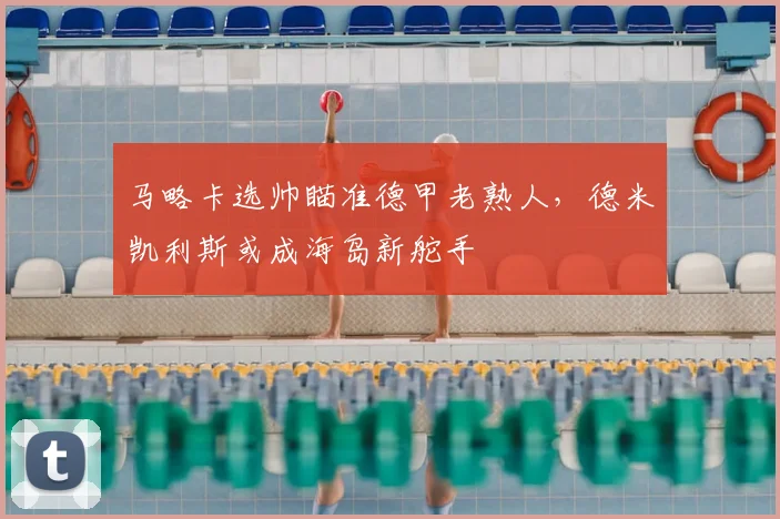 马略卡选帅瞄准德甲老熟人，德米凯利斯或成海岛新舵手